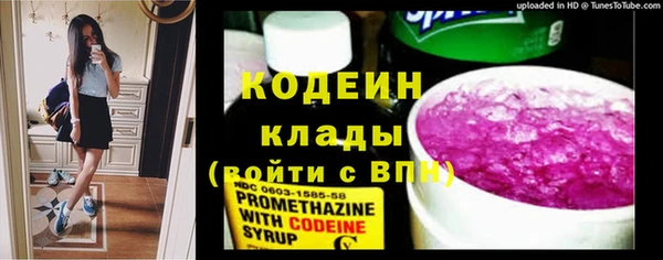 стаф Козловка