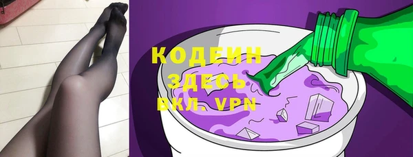 стаф Козловка