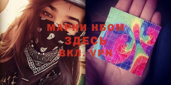 стаф Козловка
