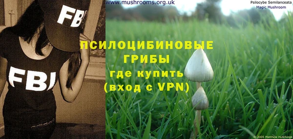 стаф Козловка