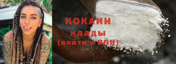 стаф Козловка