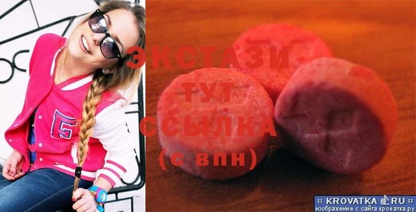 стаф Козловка