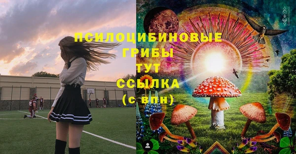 ALPHA PVP Кодинск