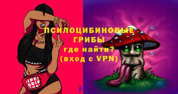 стаф Козловка