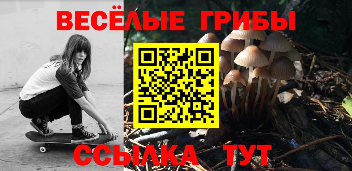 Чапаевск  Галлюциногенные грибы мицелий  Вход с VPN 